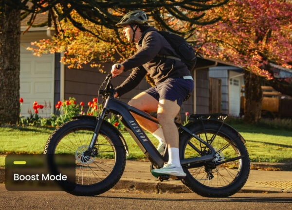 Aventon - Aventure 3 Ebike