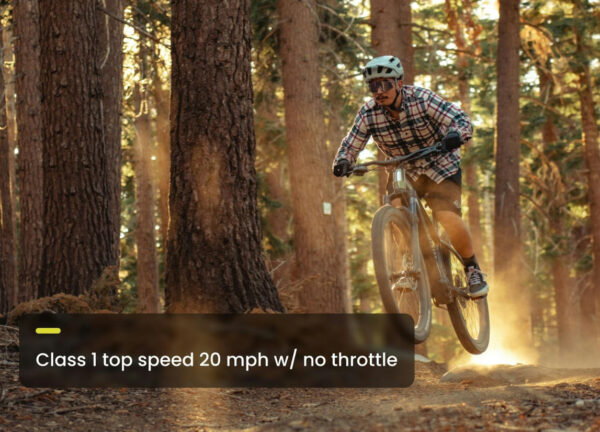 Aventon - Ramblas Ebike