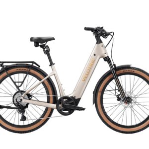 Velotric Discover  M